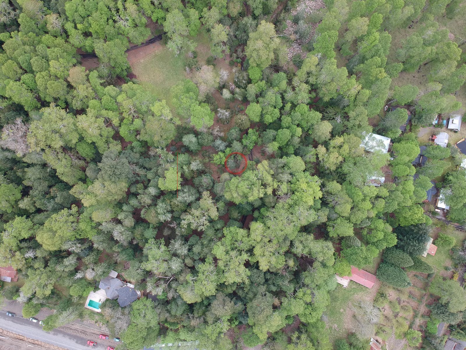 Foto aérea DJI_0252