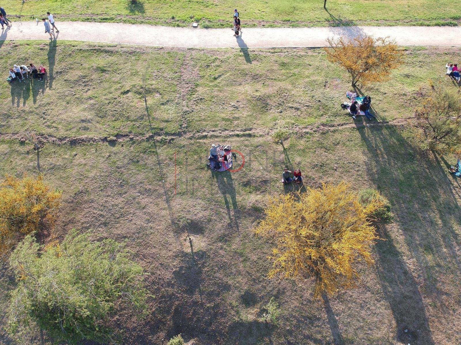 Foto aérea E-DJI_0228