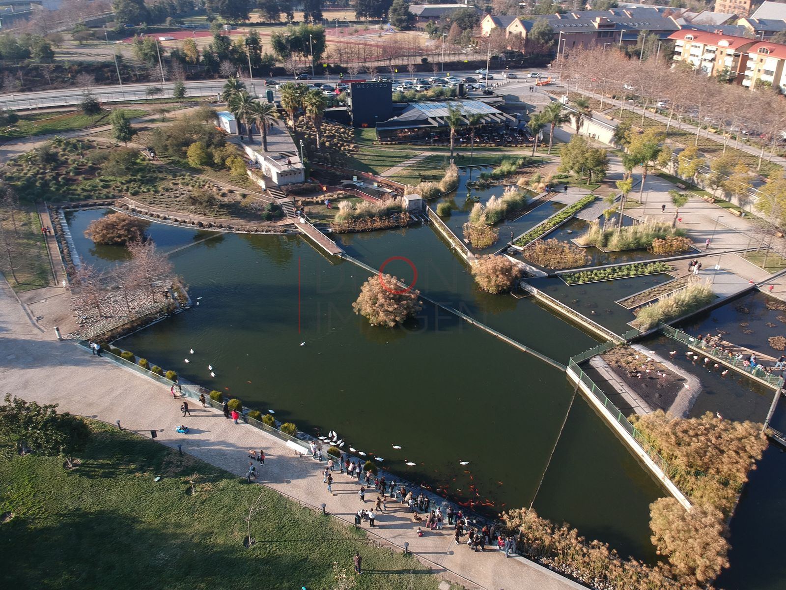 Laguna del Parque Bicentenario, Vitacura