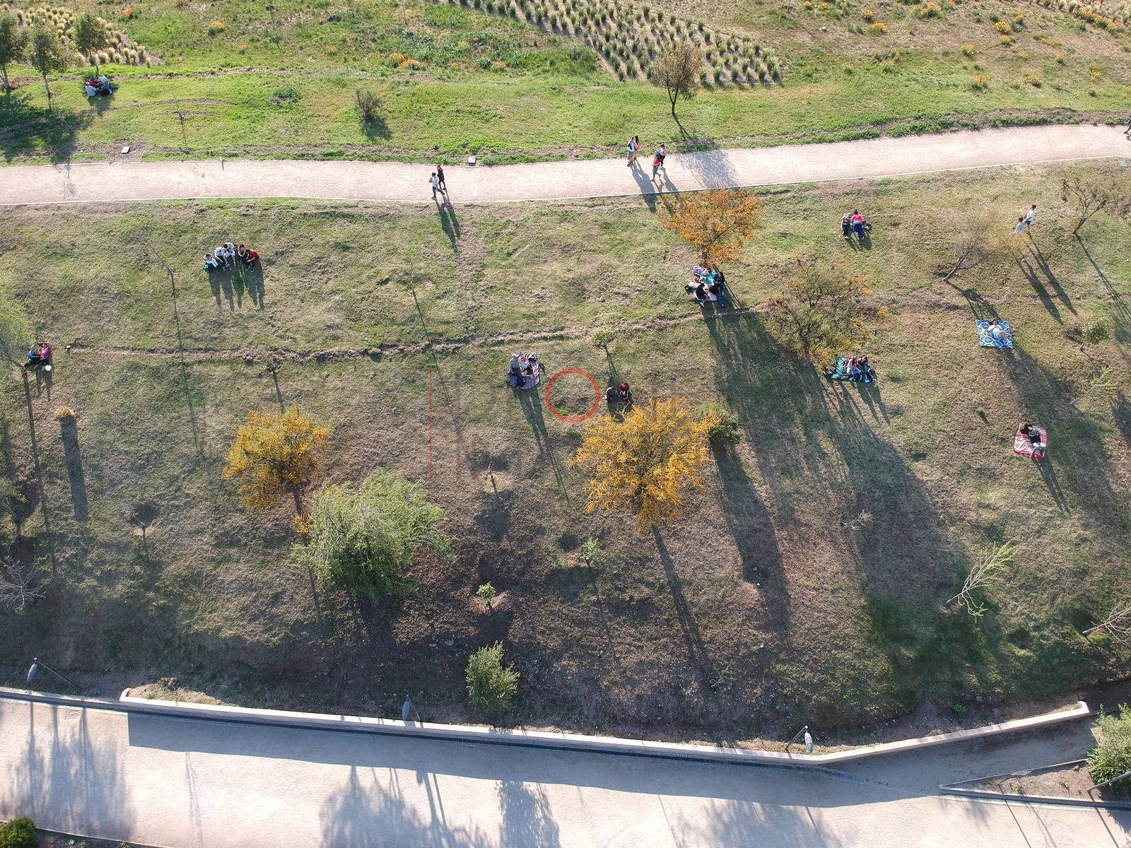 Foto aérea E-DJI_0226