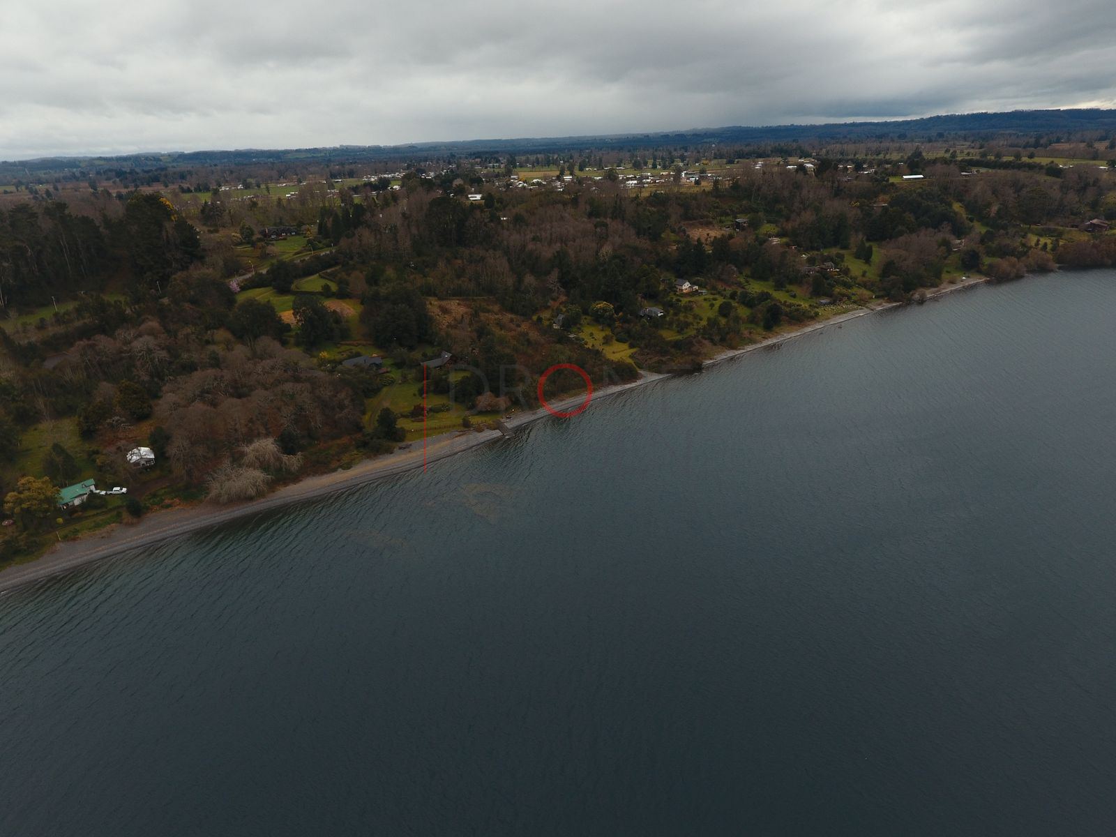 Costa boscosa del lago Ranco (3)