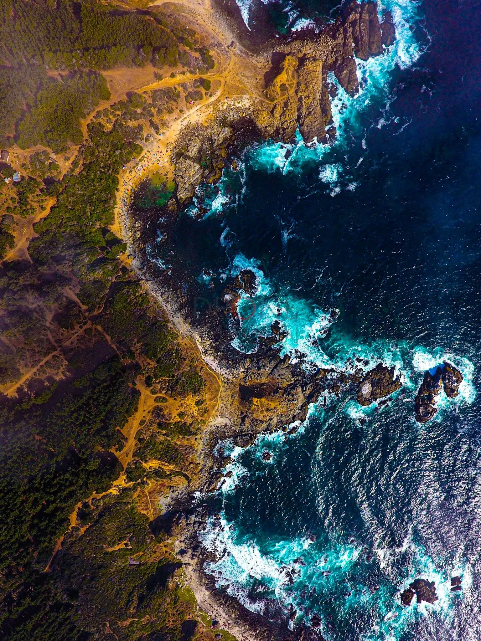 Costa rocosa y aguas azules profundas · vista cenital