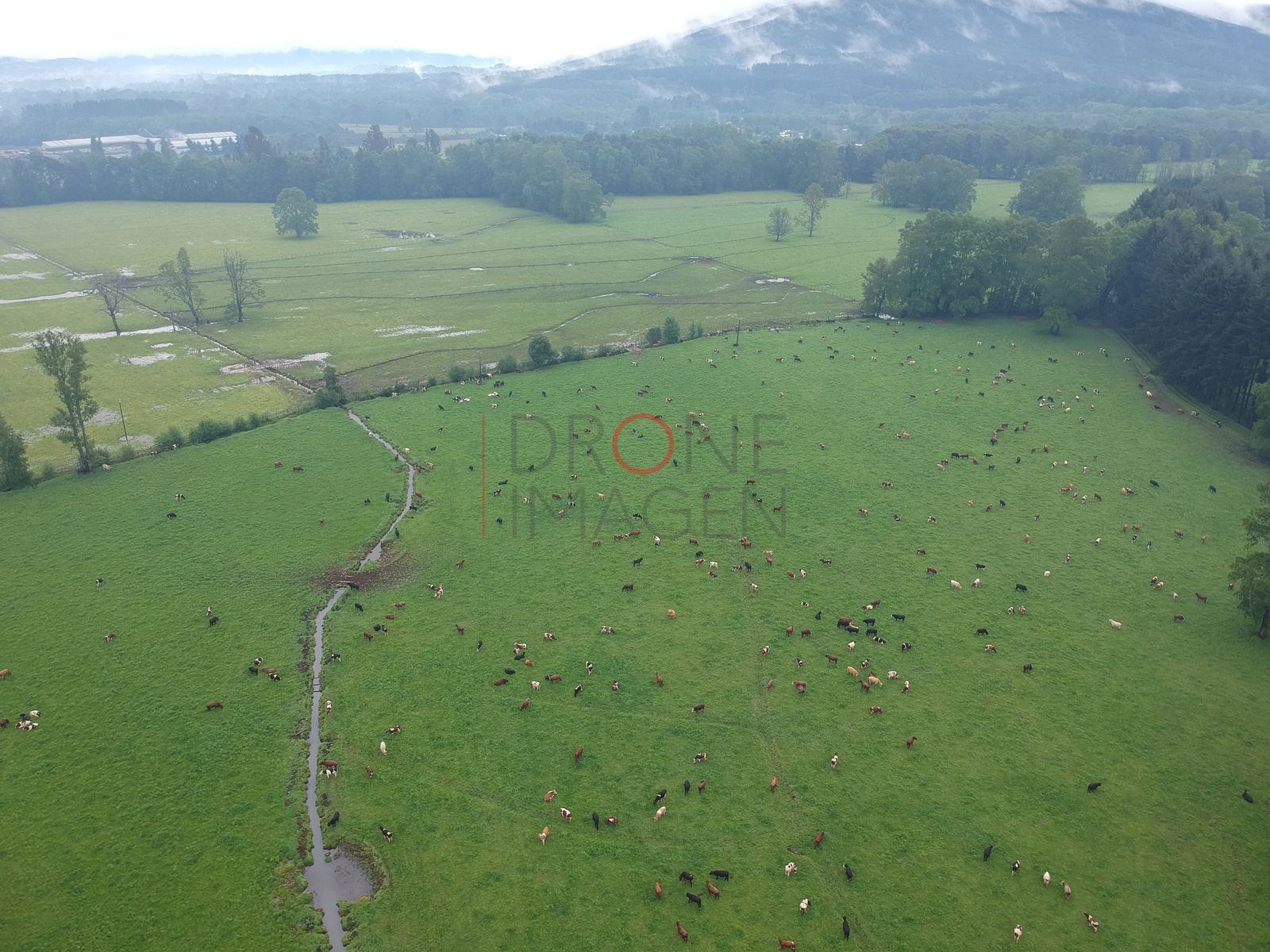 Foto aérea DJI_0134