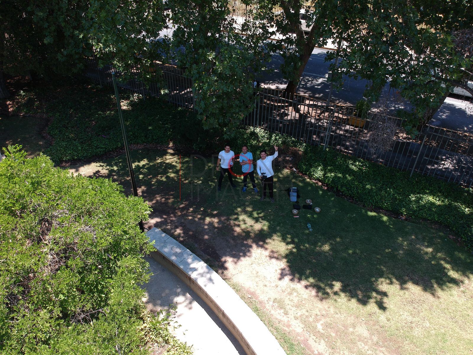 Personas bajo los árboles en un parque, Providencia