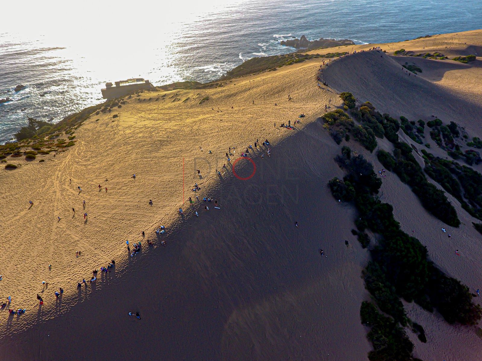 Dunas de Concón #1