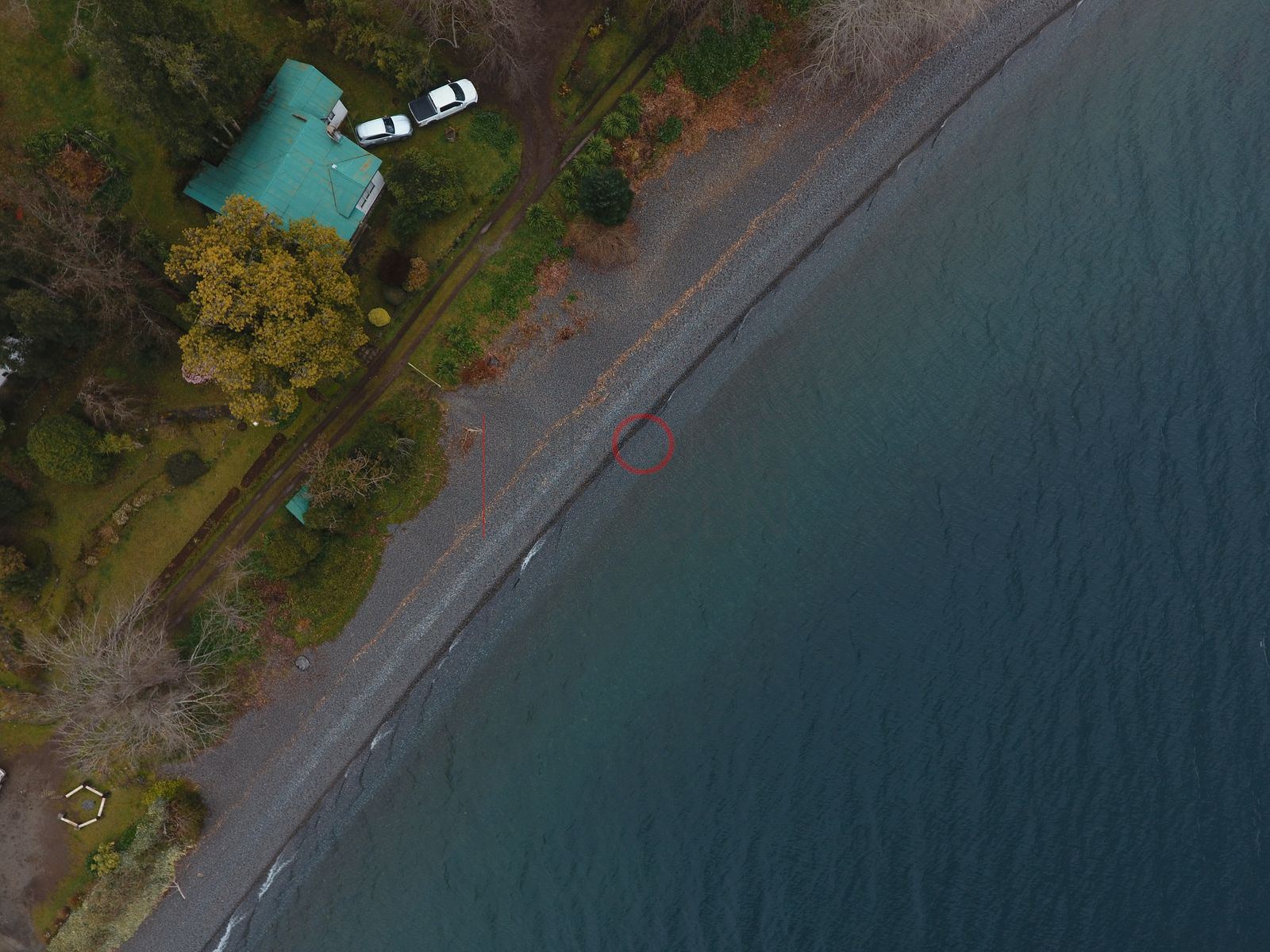 Costa del lago Ranco con casas y piscinas