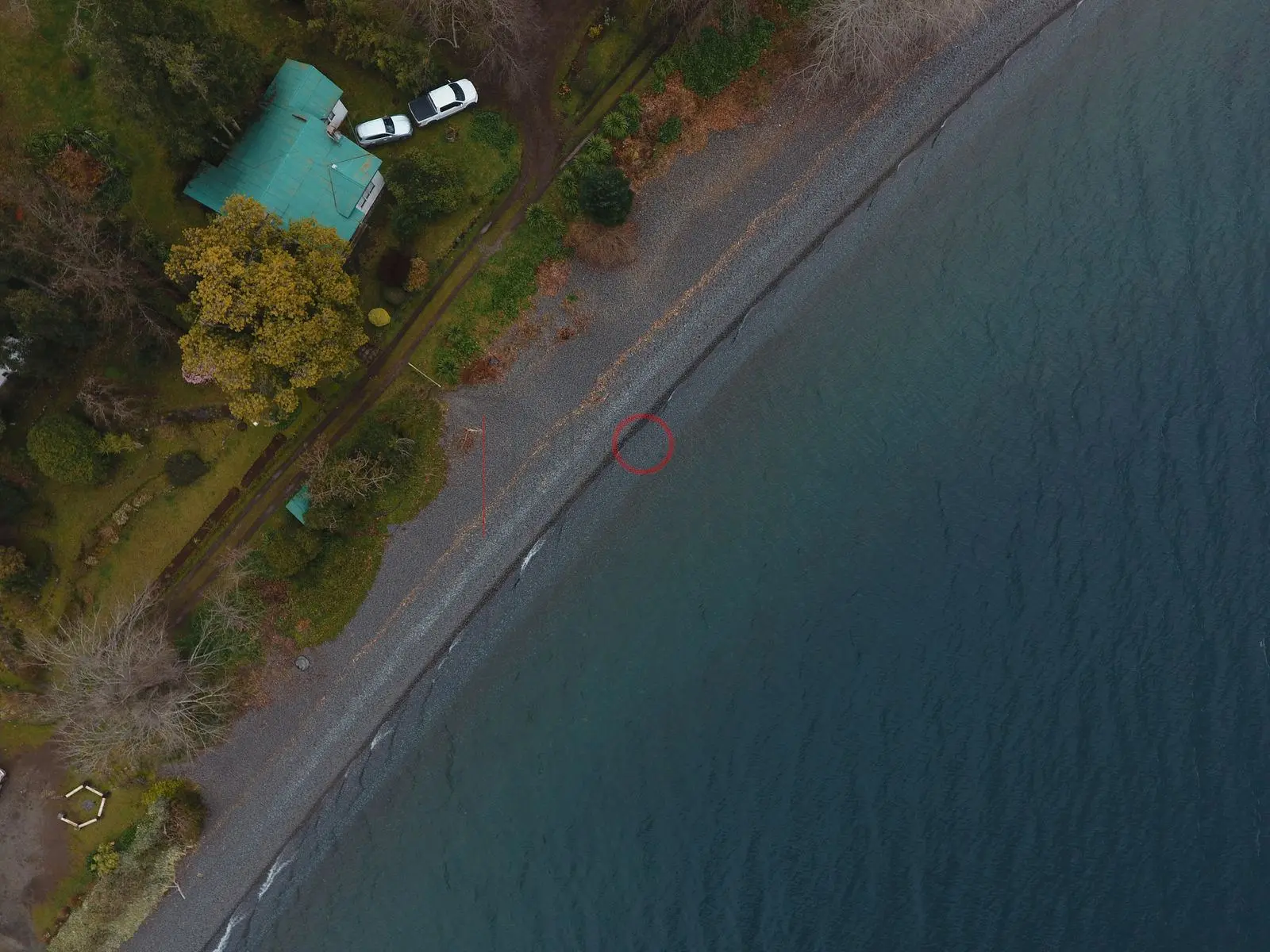 Costa del lago Ranco con casas y piscinas
