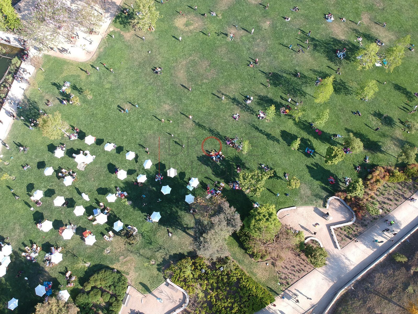 Foto aérea E-DJI_0220