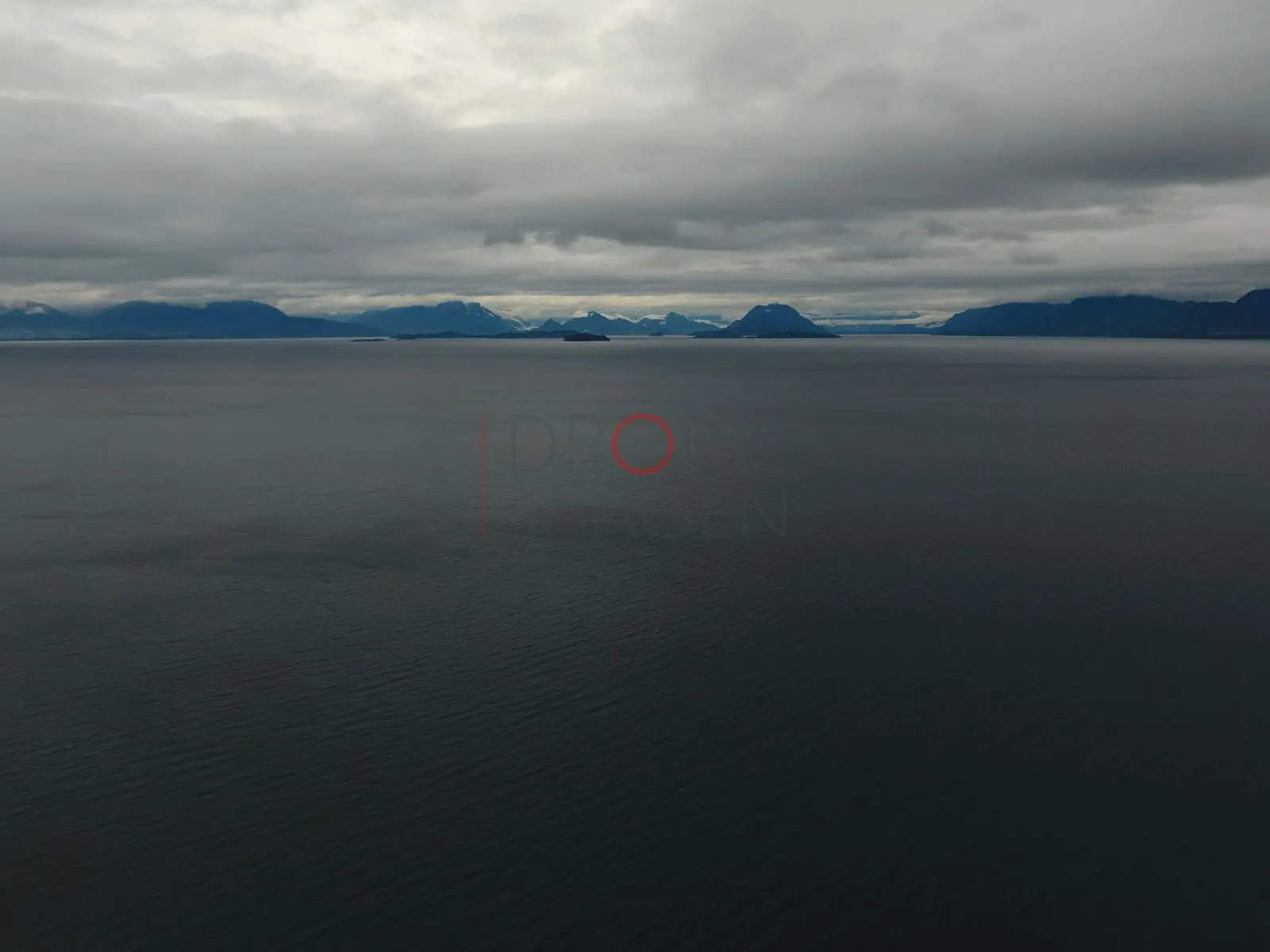 Lago Ranco panorámico (5)