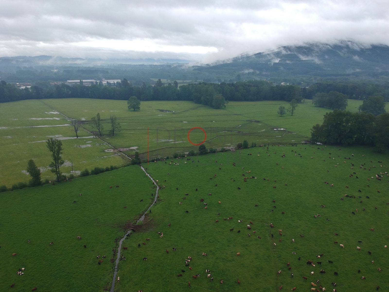Foto aérea DJI_0125