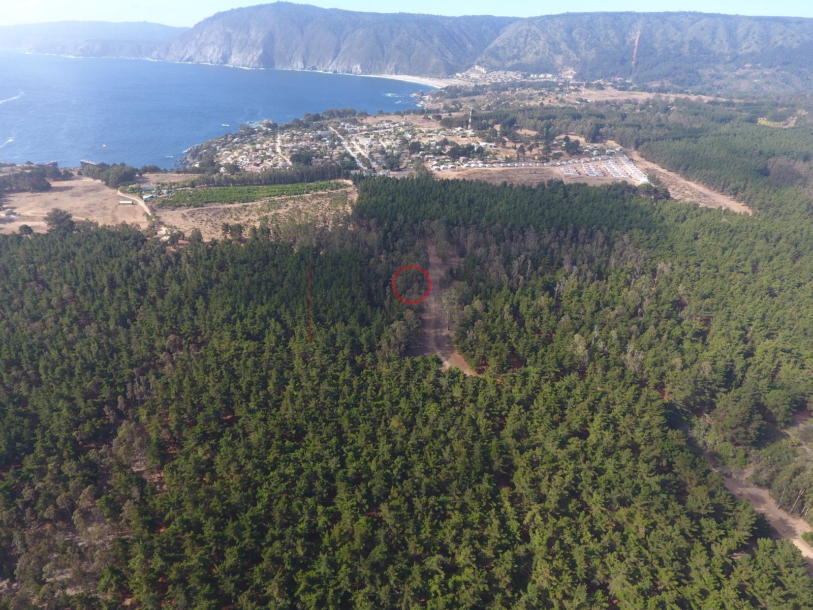 Foto aérea DJI_0016