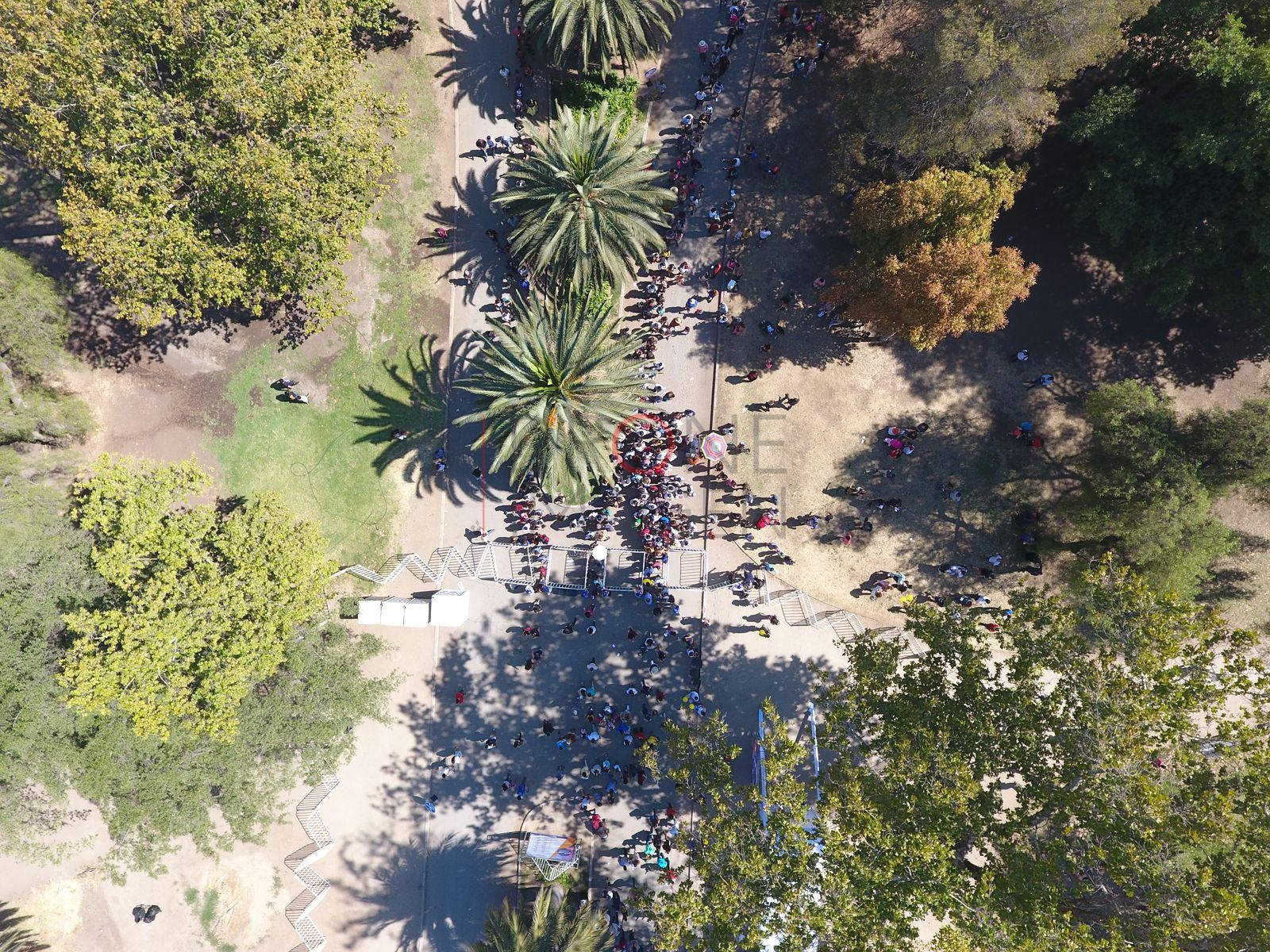 Foto aérea DJI_0769