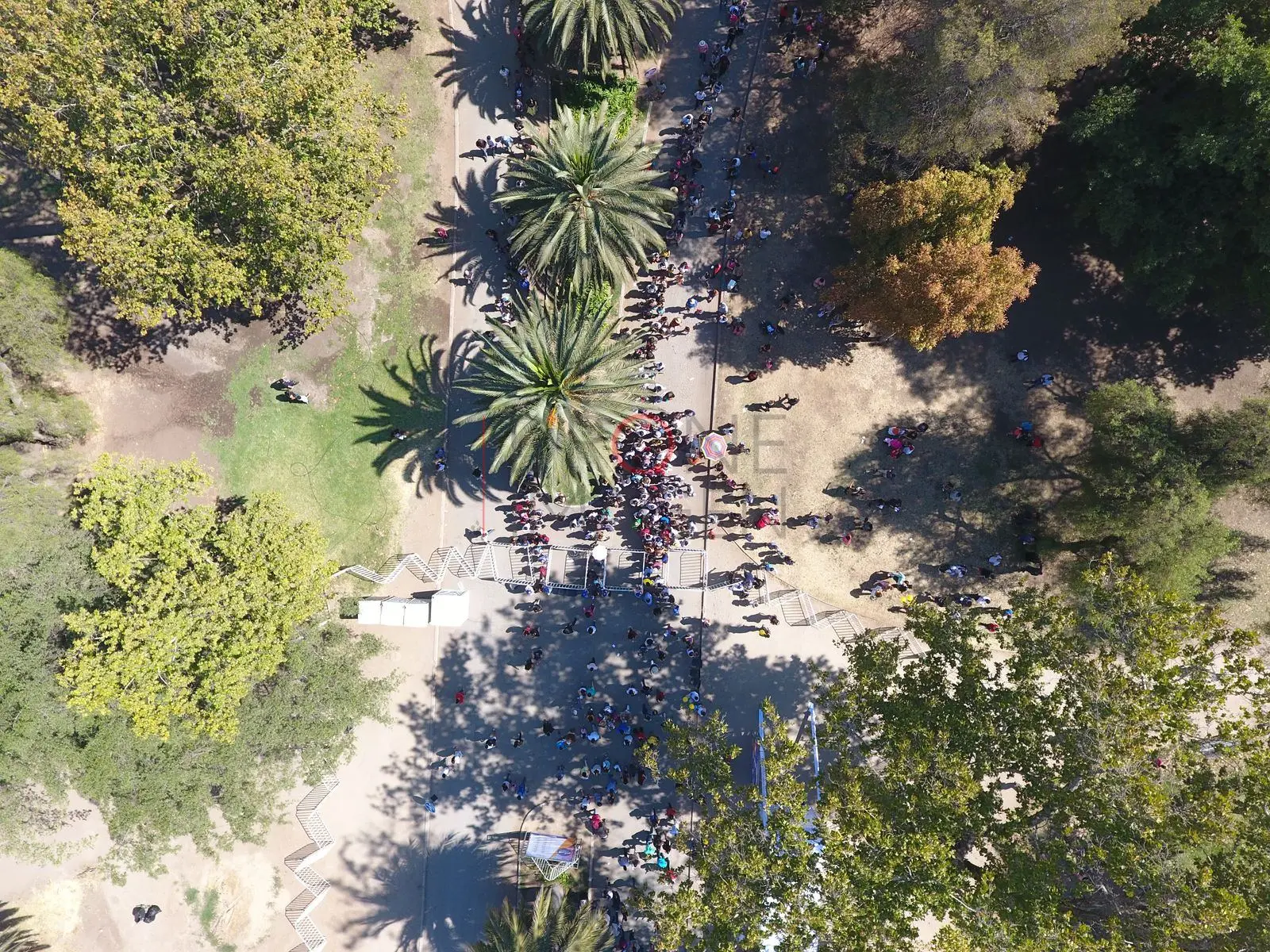 Palmeras y paseo con visitantes, Quinta Normal — Santiago, Chile