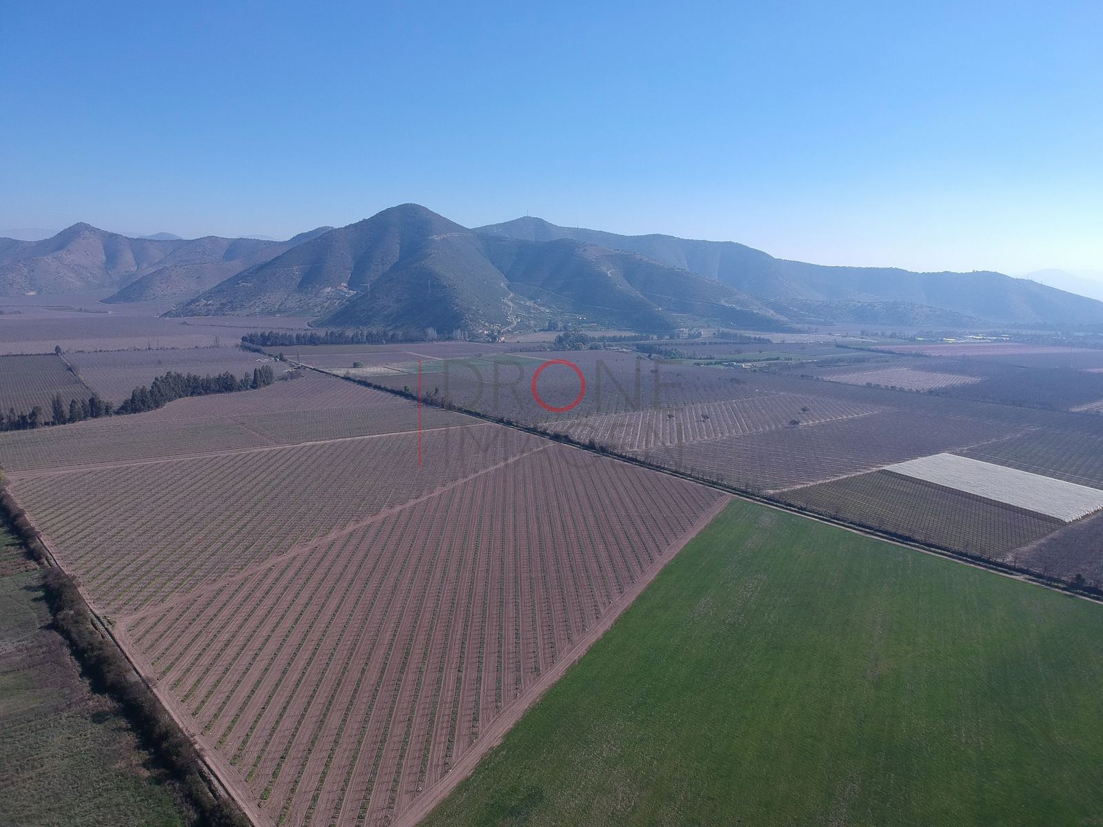 Viñedos y cordillera