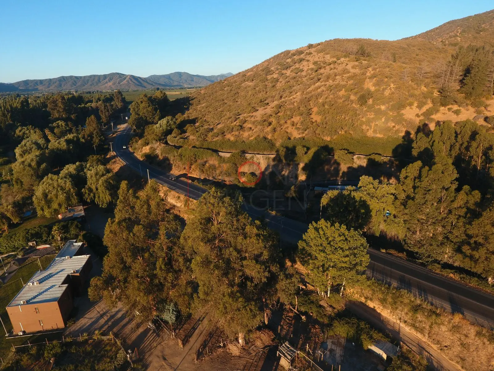 Camino entre bosques y cerro, Las Cabras