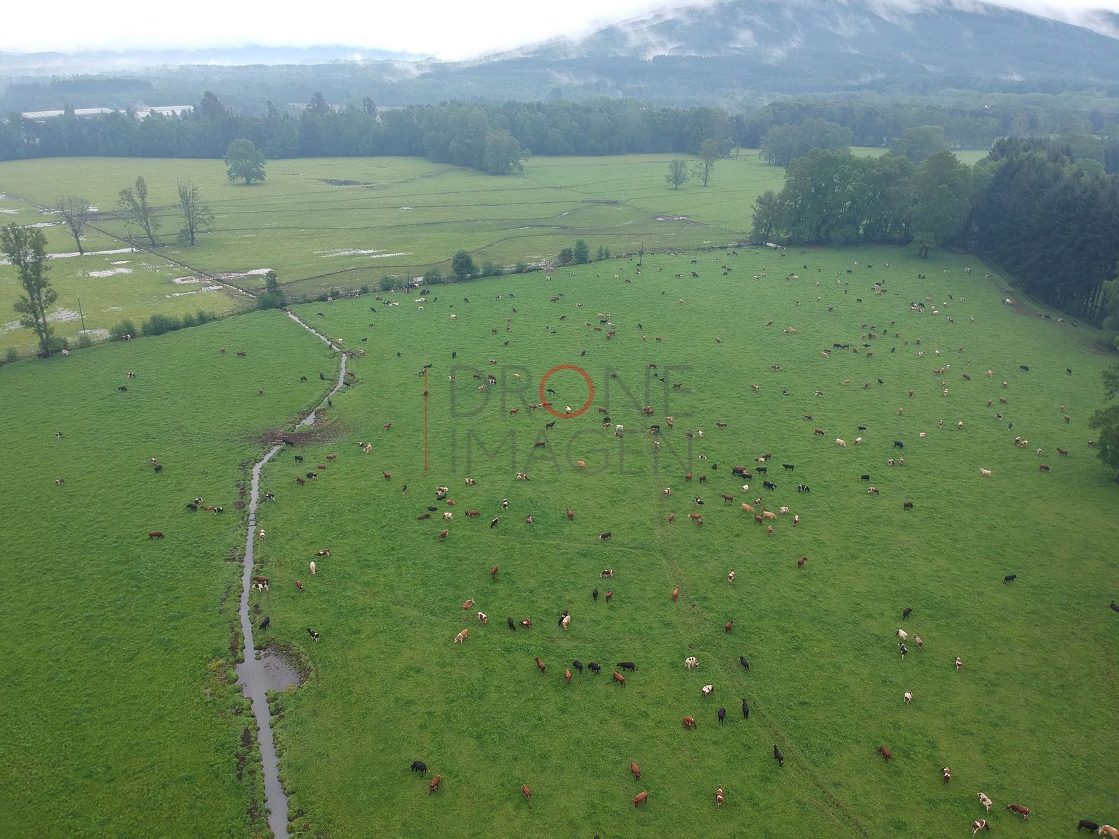 Foto aérea DJI_0135