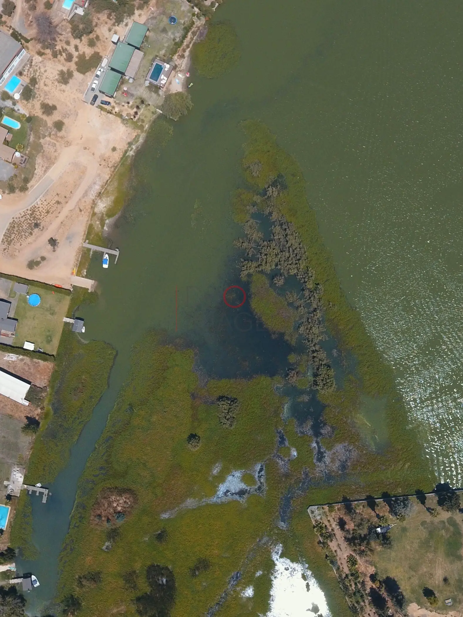 Humedal de aguas verdes, Las Cabras · vista aérea oblicua