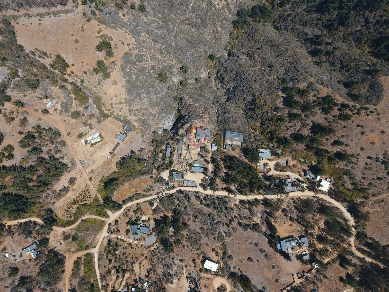 Casas y senderos entre arbustos, Navidad