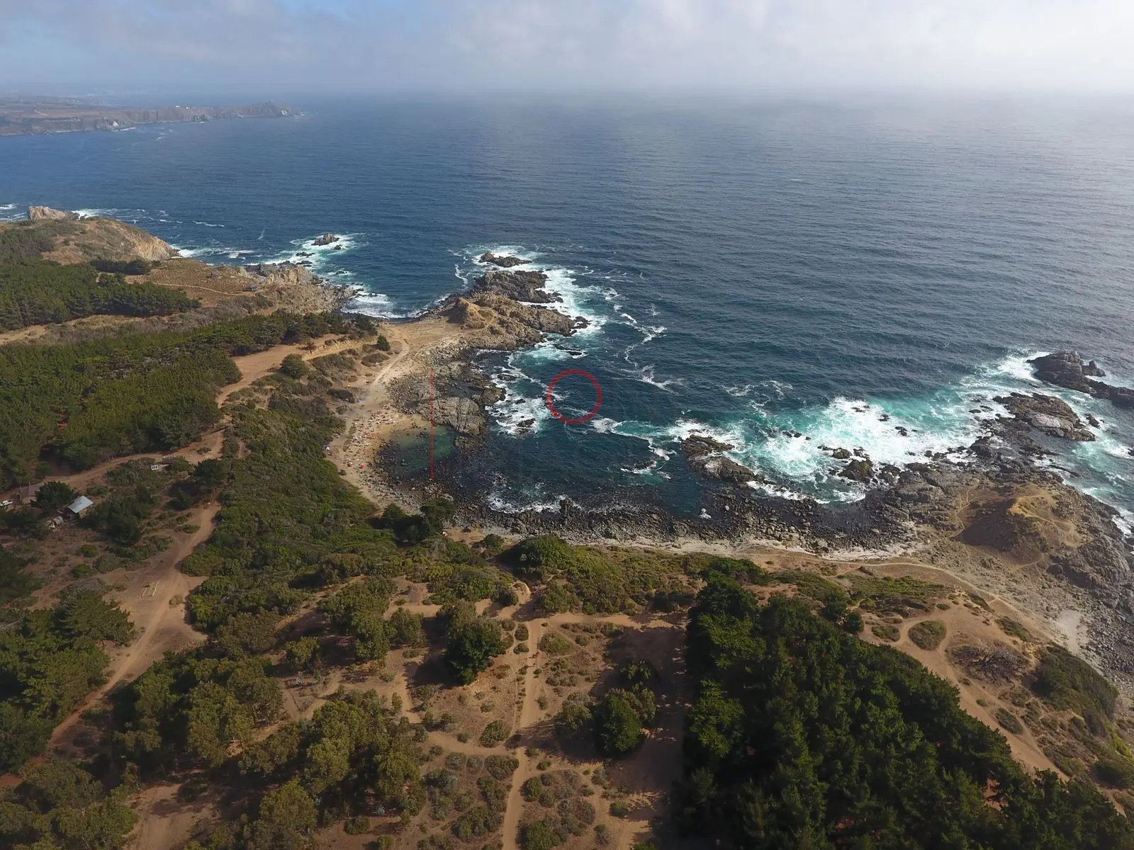 Océano y roqueríos junto al bosque, Quintay · Casablanca, Región de Valparaíso · vista aérea oblicua