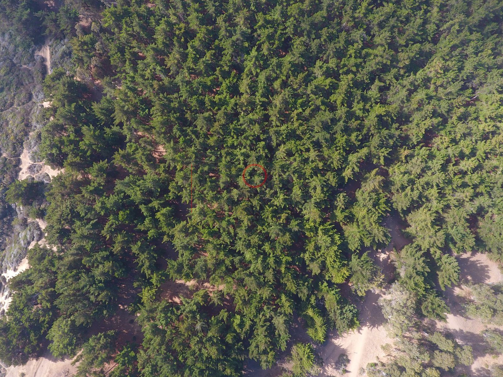 Foto aérea DJI_0018