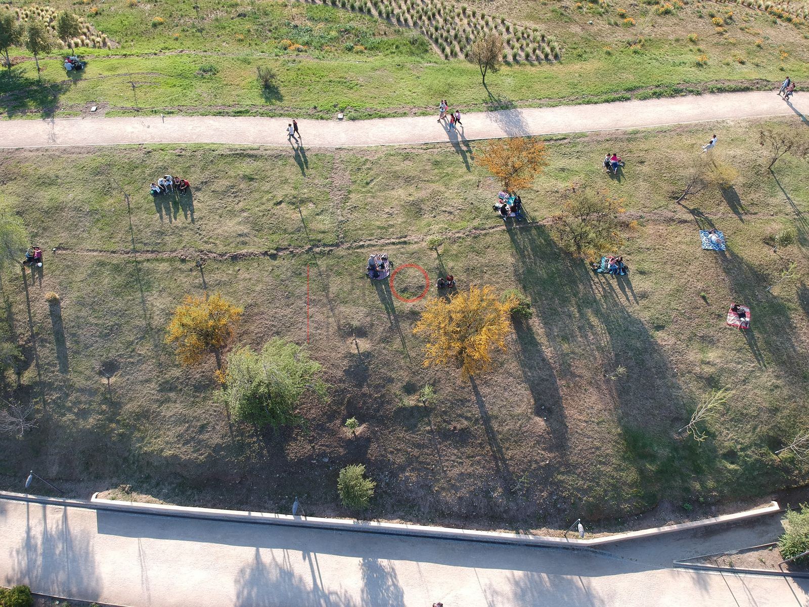 Foto aérea E-DJI_0227