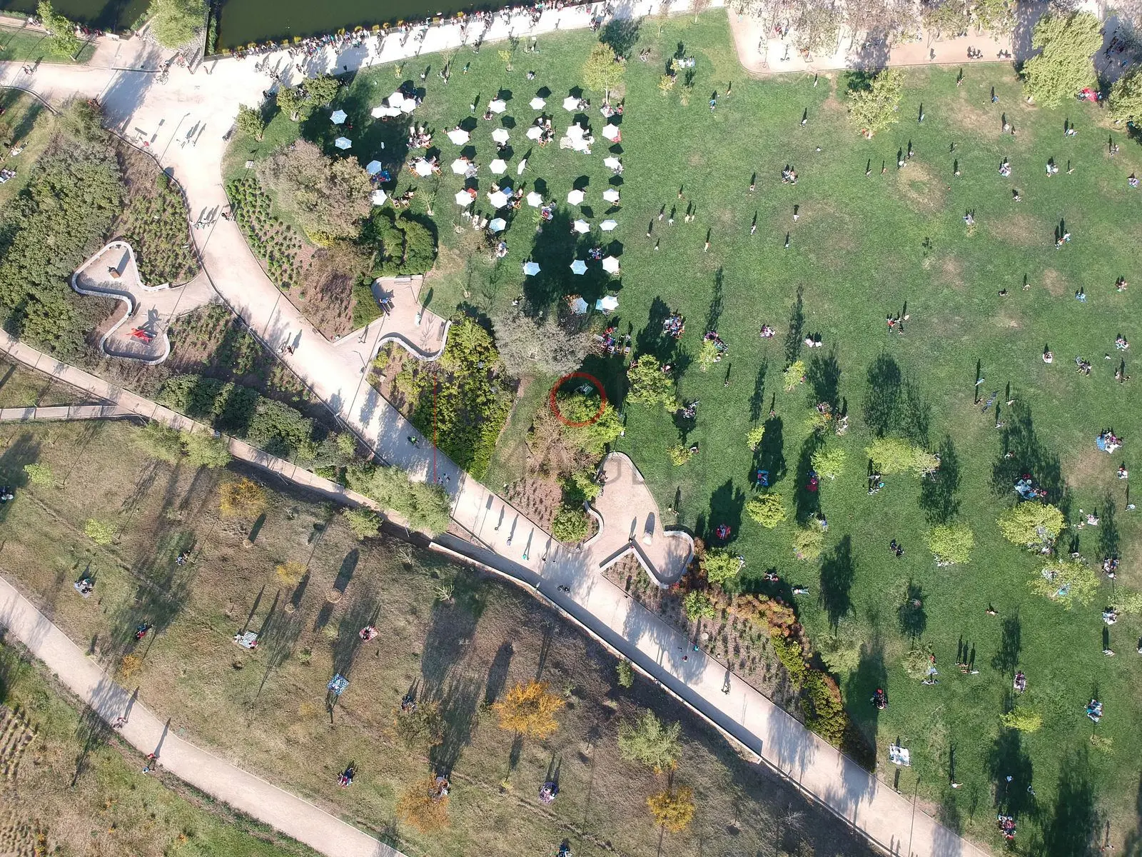 Toldos blancos entre pasto y árboles, Vitacura · vista cenital