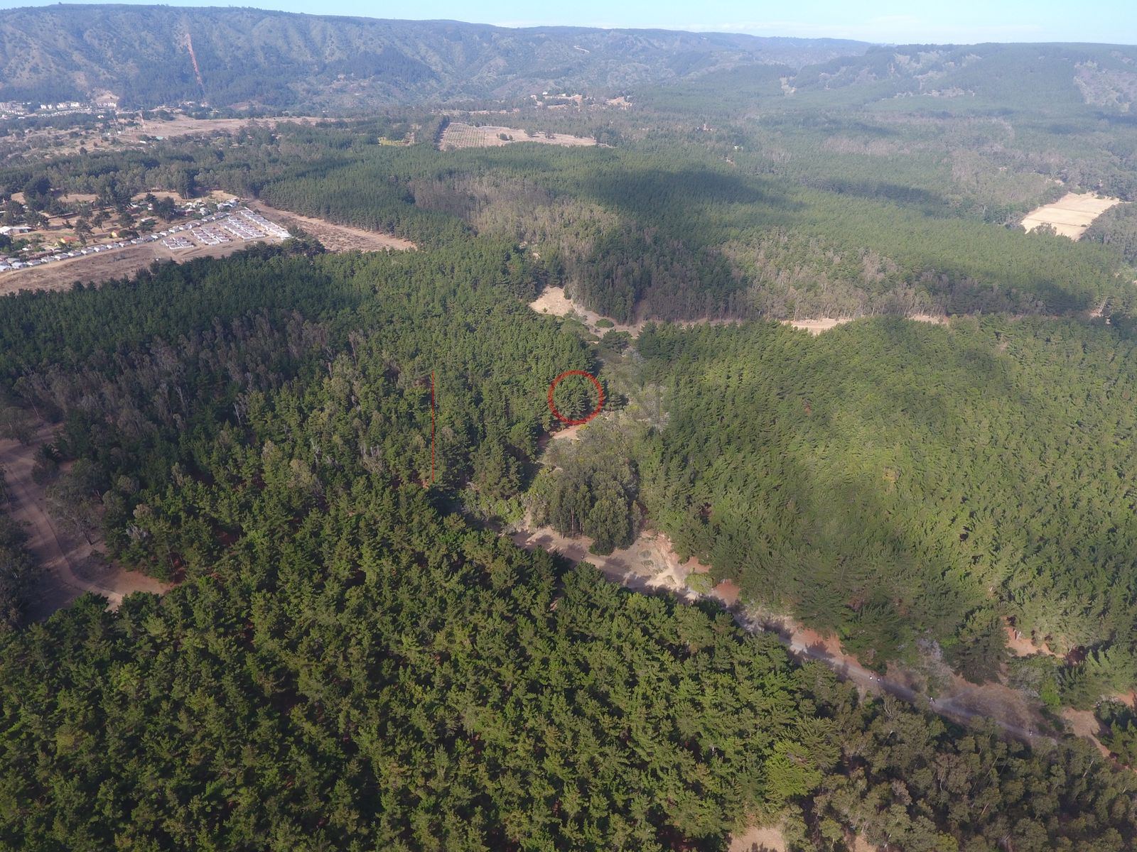Foto aérea DJI_0015