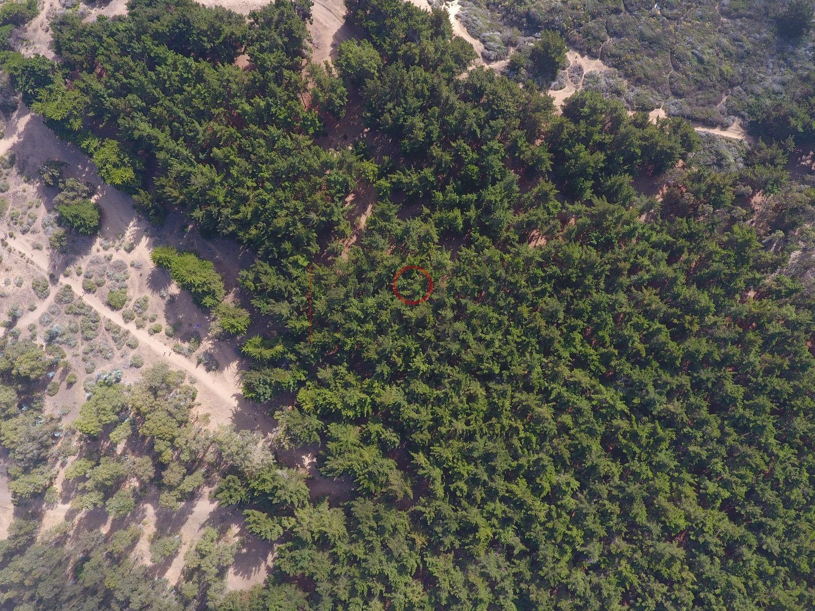 Foto aérea DJI_0010