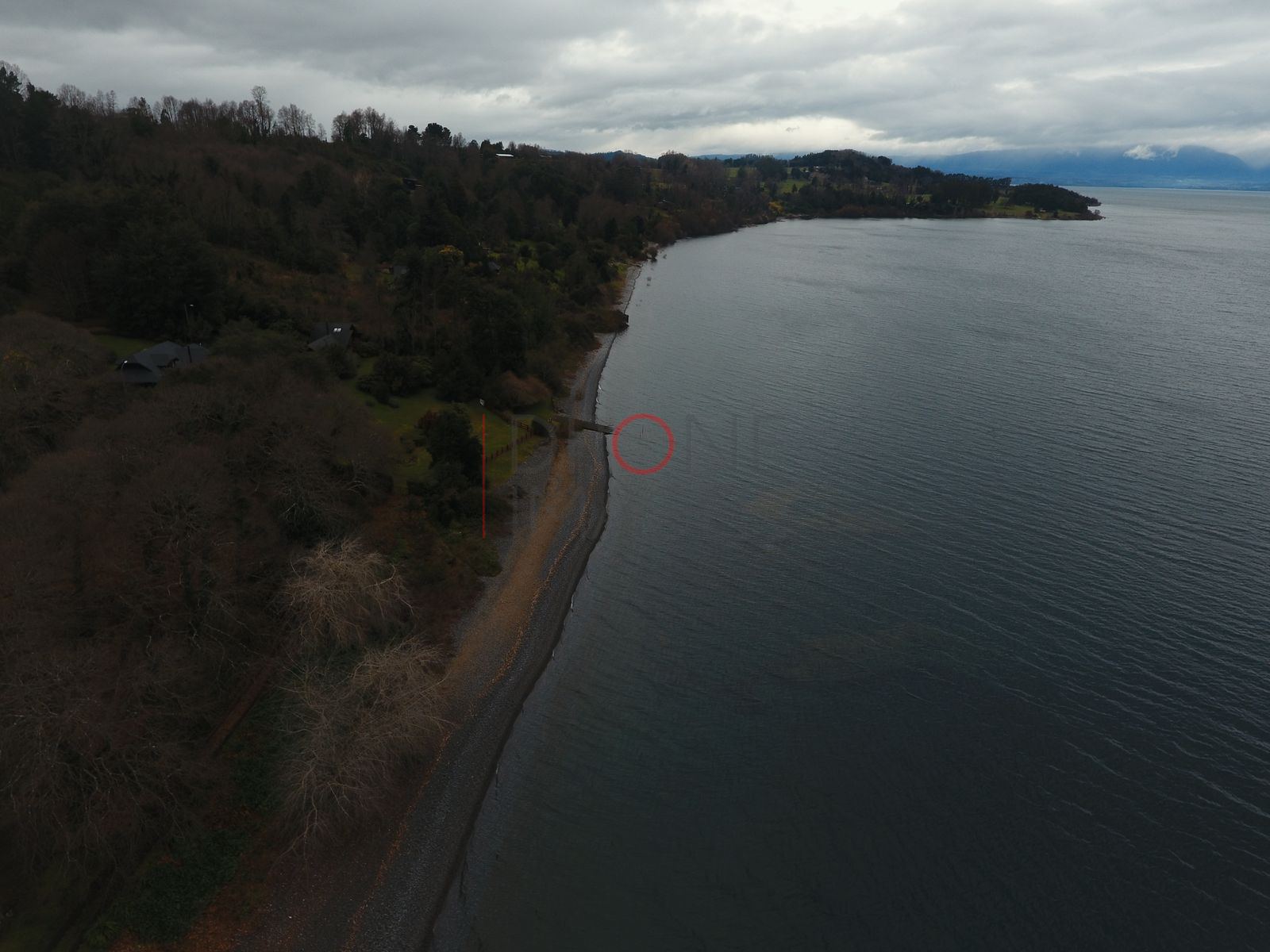 Lago Ranco y cerros boscosos (3)