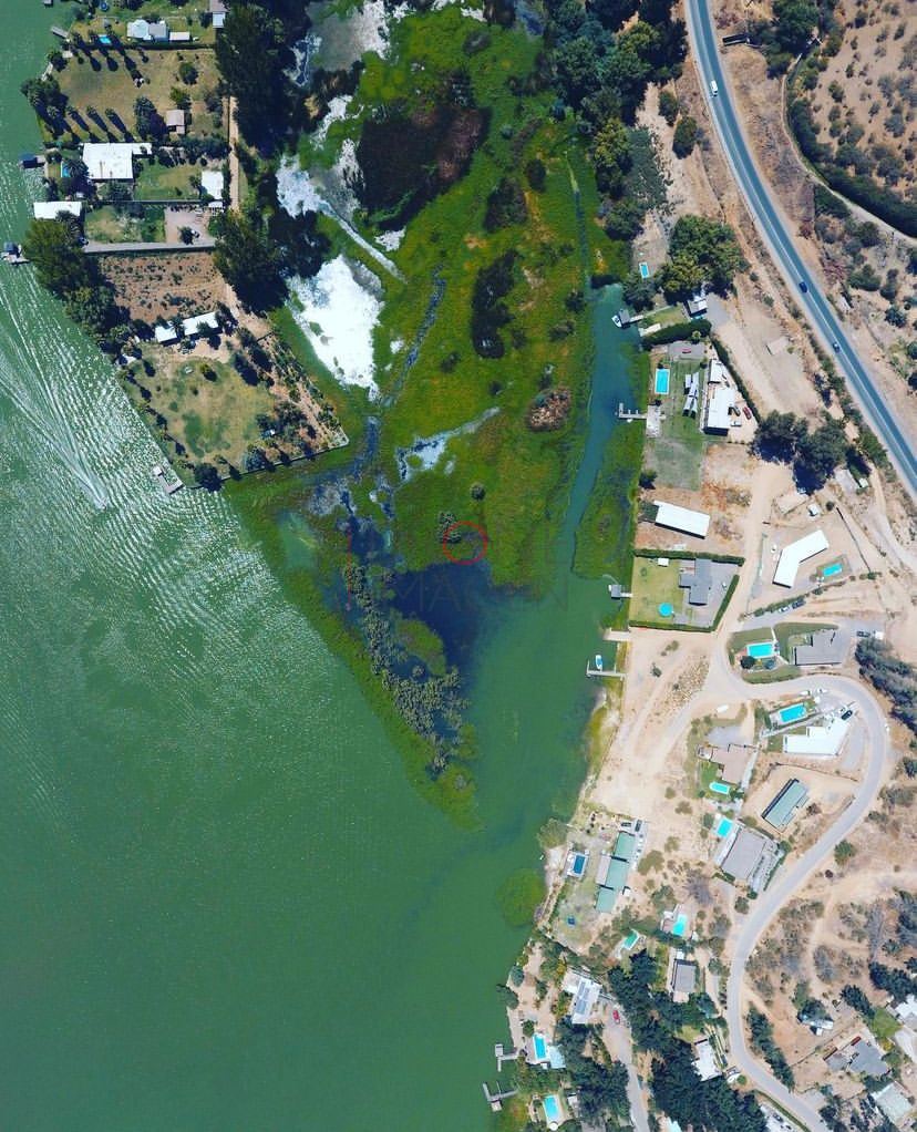 Estanques de aguas verdes junto a edificios, vista cenital (2)