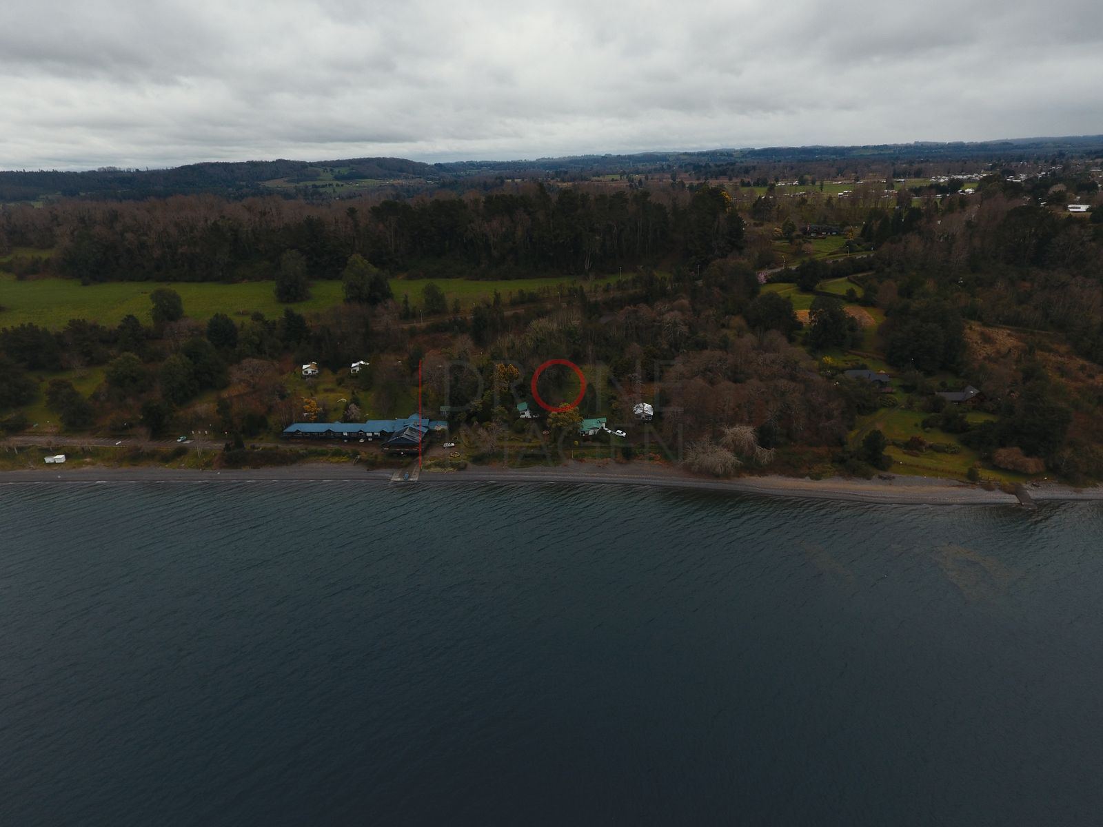 Costa boscosa del lago Ranco