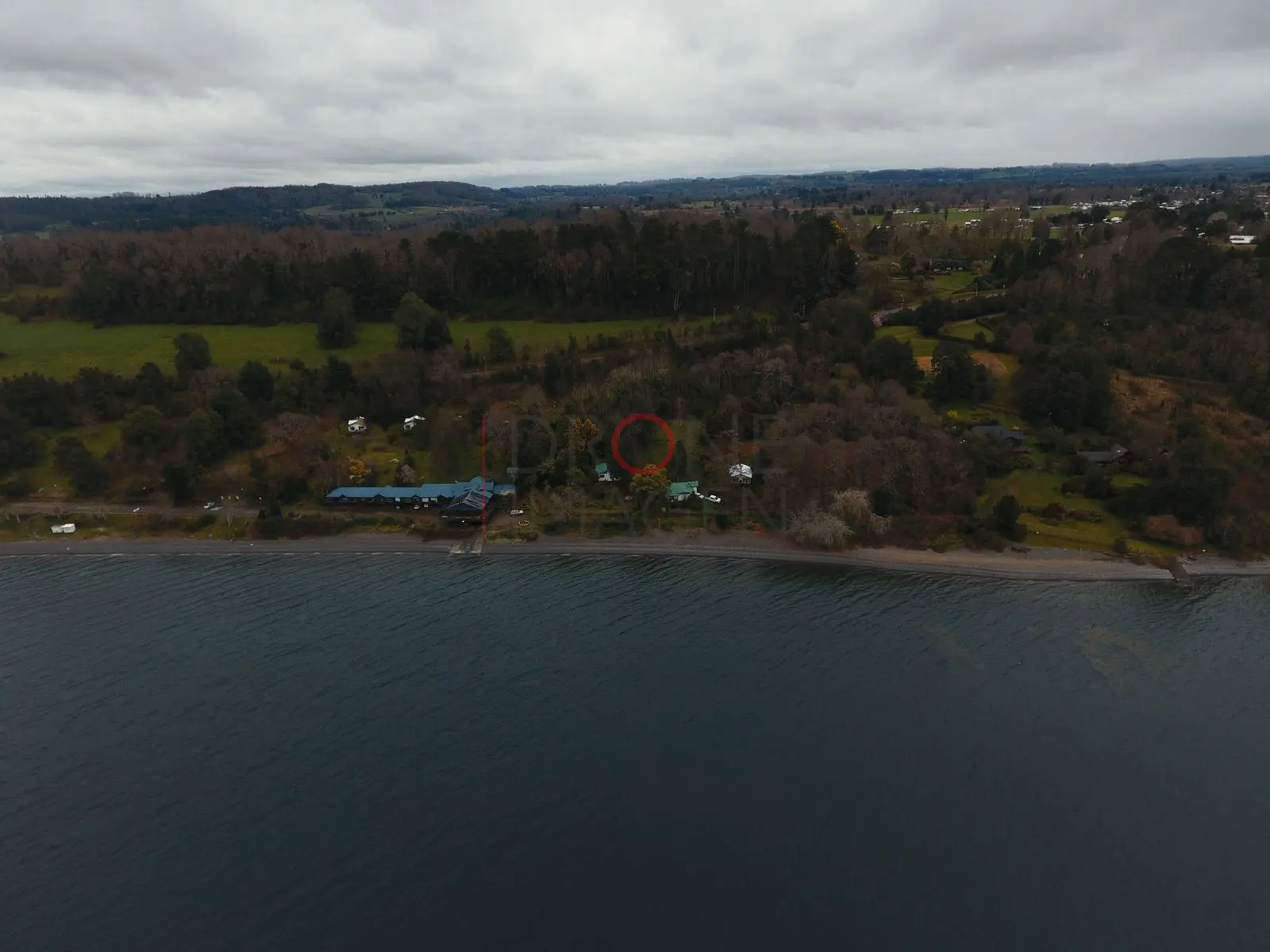 Costa boscosa del lago Ranco
