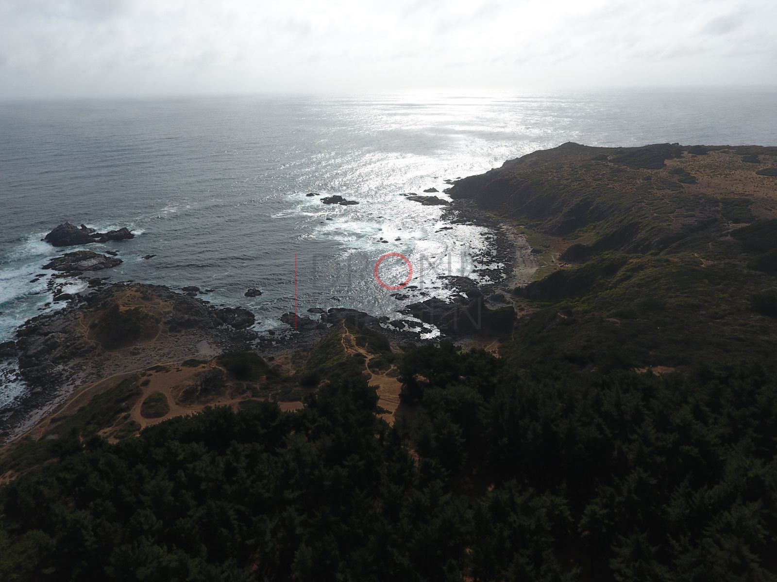 Foto aérea DJI_0005