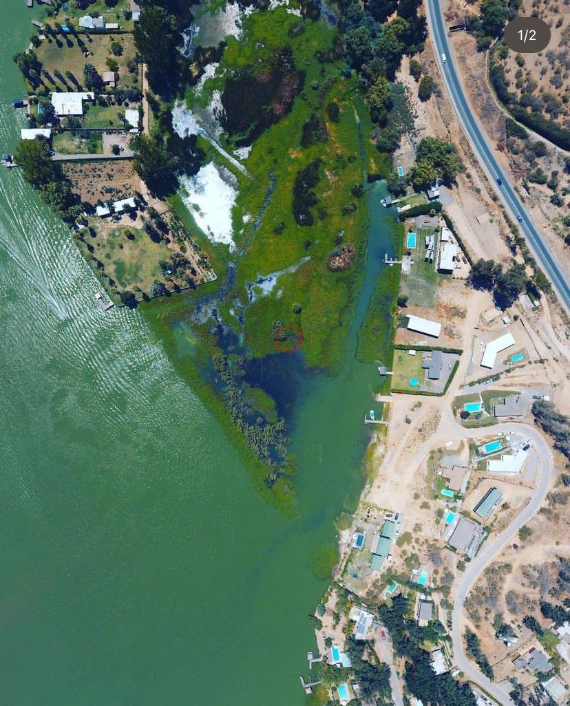 Estanques de aguas verdes junto a edificios, vista cenital