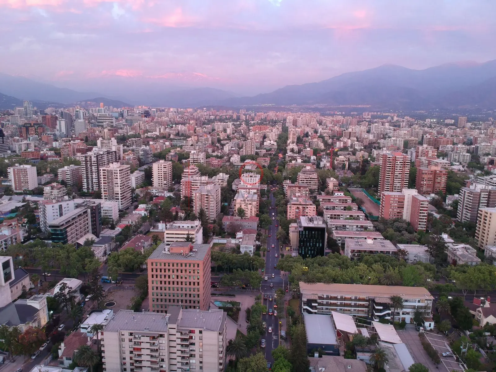 Avenida arbolada y cielo lila, Providencia · vista aérea oblicua