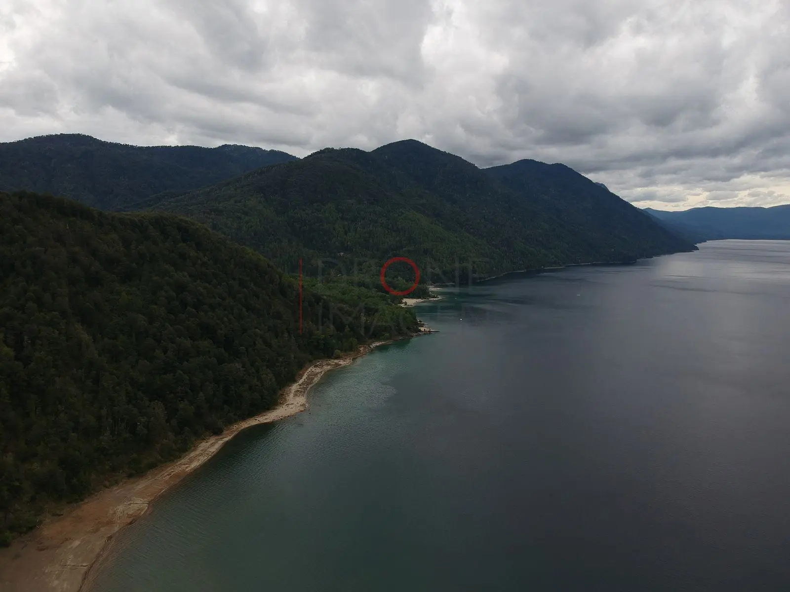 Orilla del lago con bosque nativo, Caburgua — Pucón, Chile