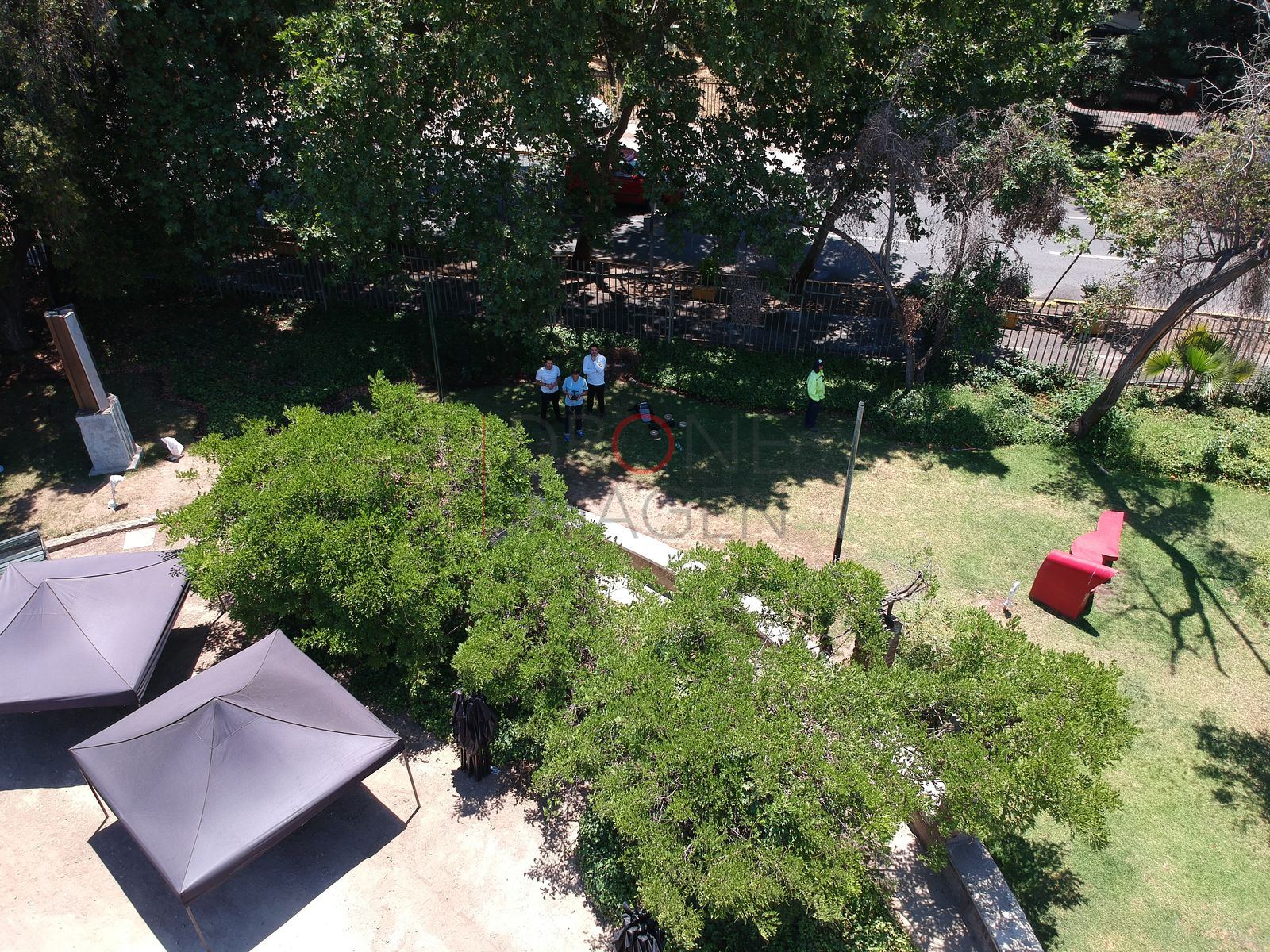 Toldos y árboles en el parque, Providencia