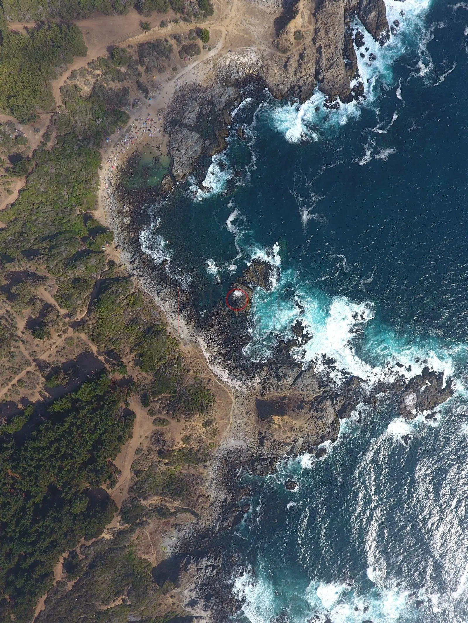 Ensenada con olas y vegetación, Quintay