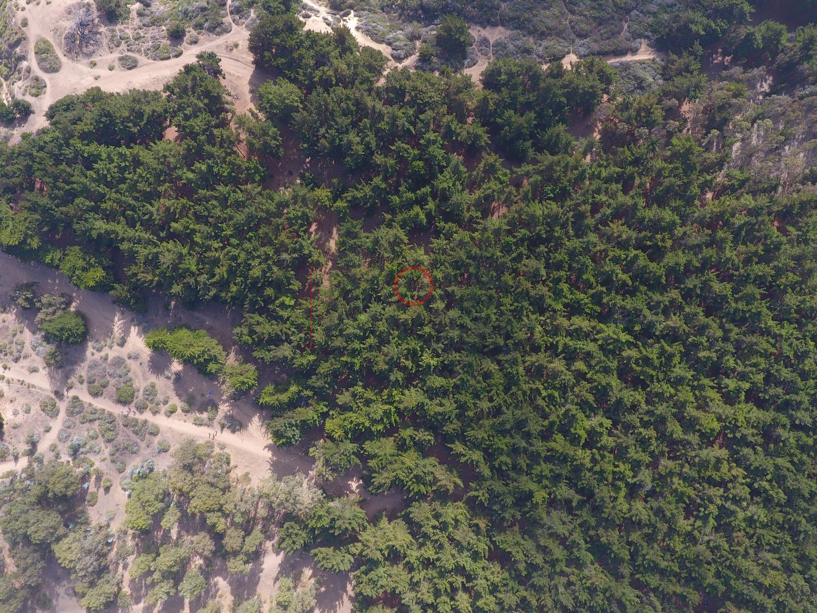 Foto aérea DJI_0008