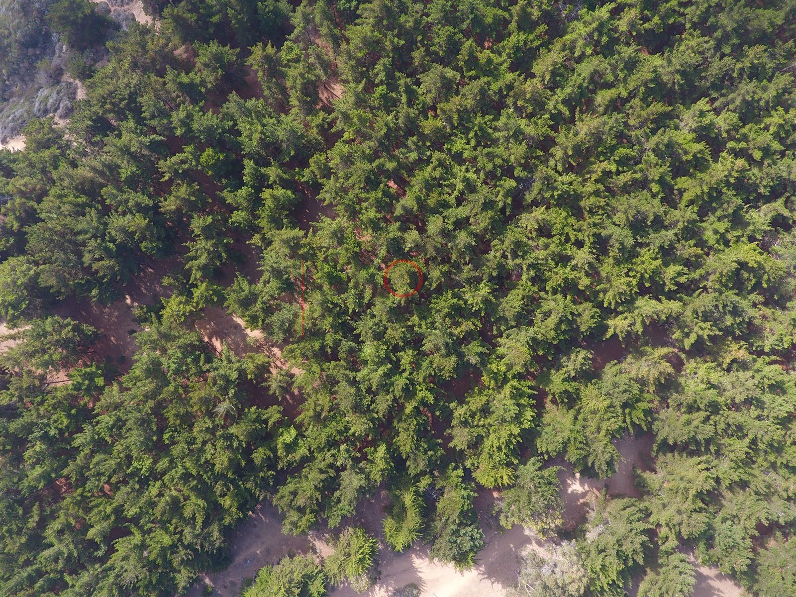 Foto aérea DJI_0006