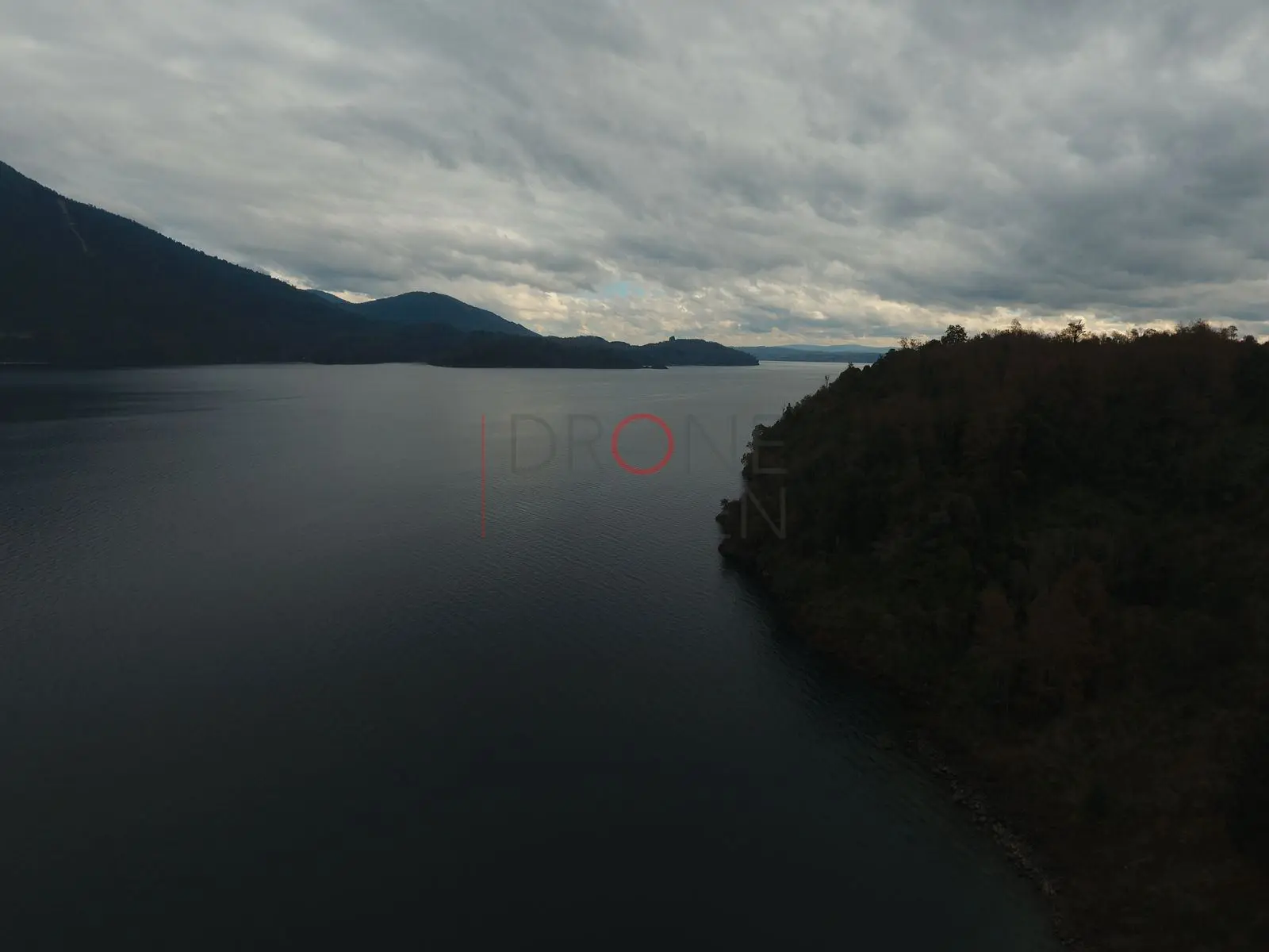 Bosque y lago bajo cielo nublado, Panguipulli