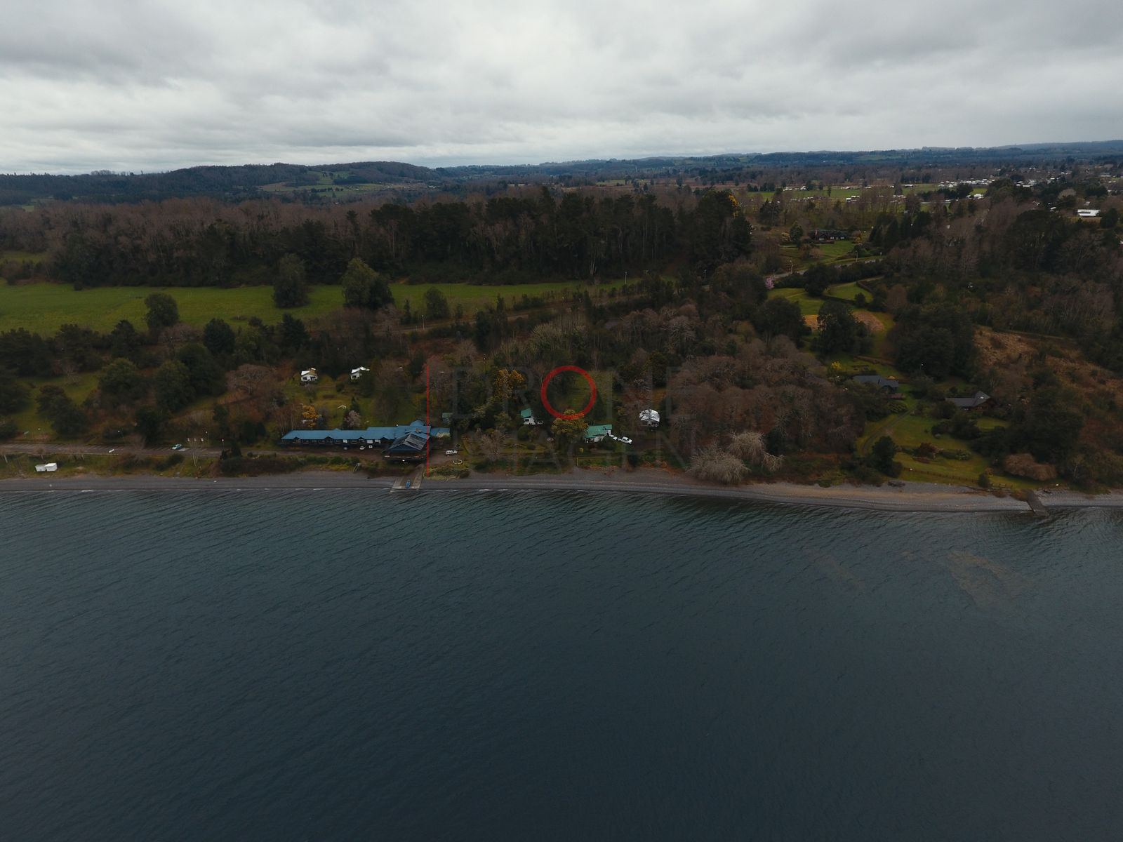 Costa boscosa del lago Ranco (2)