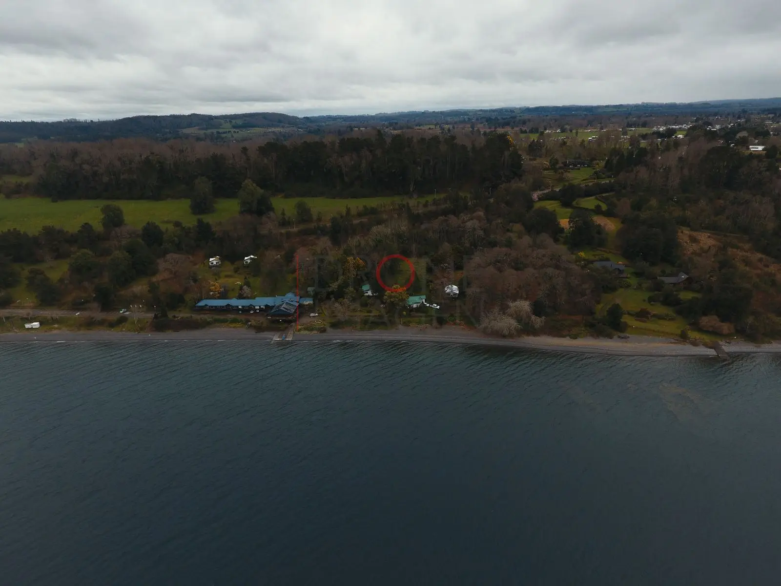 Costa boscosa del lago Ranco (2)