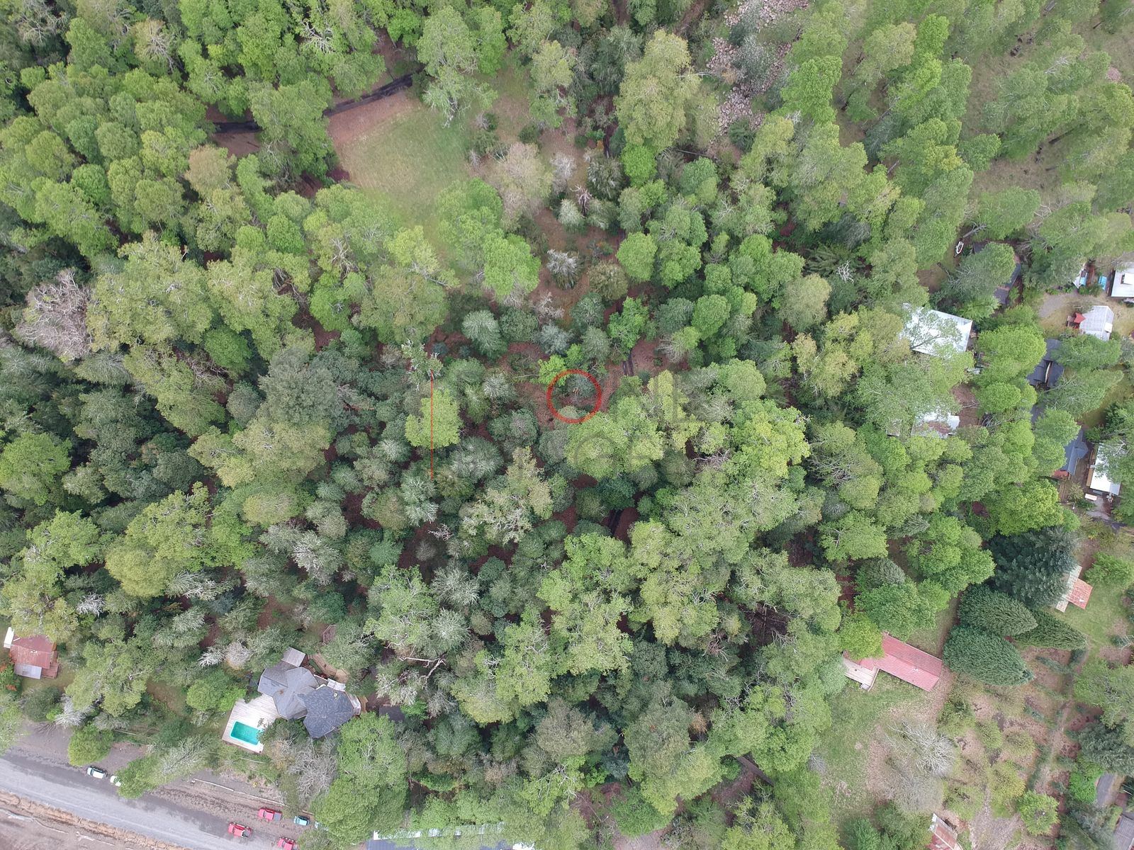 Foto aérea DJI_0254