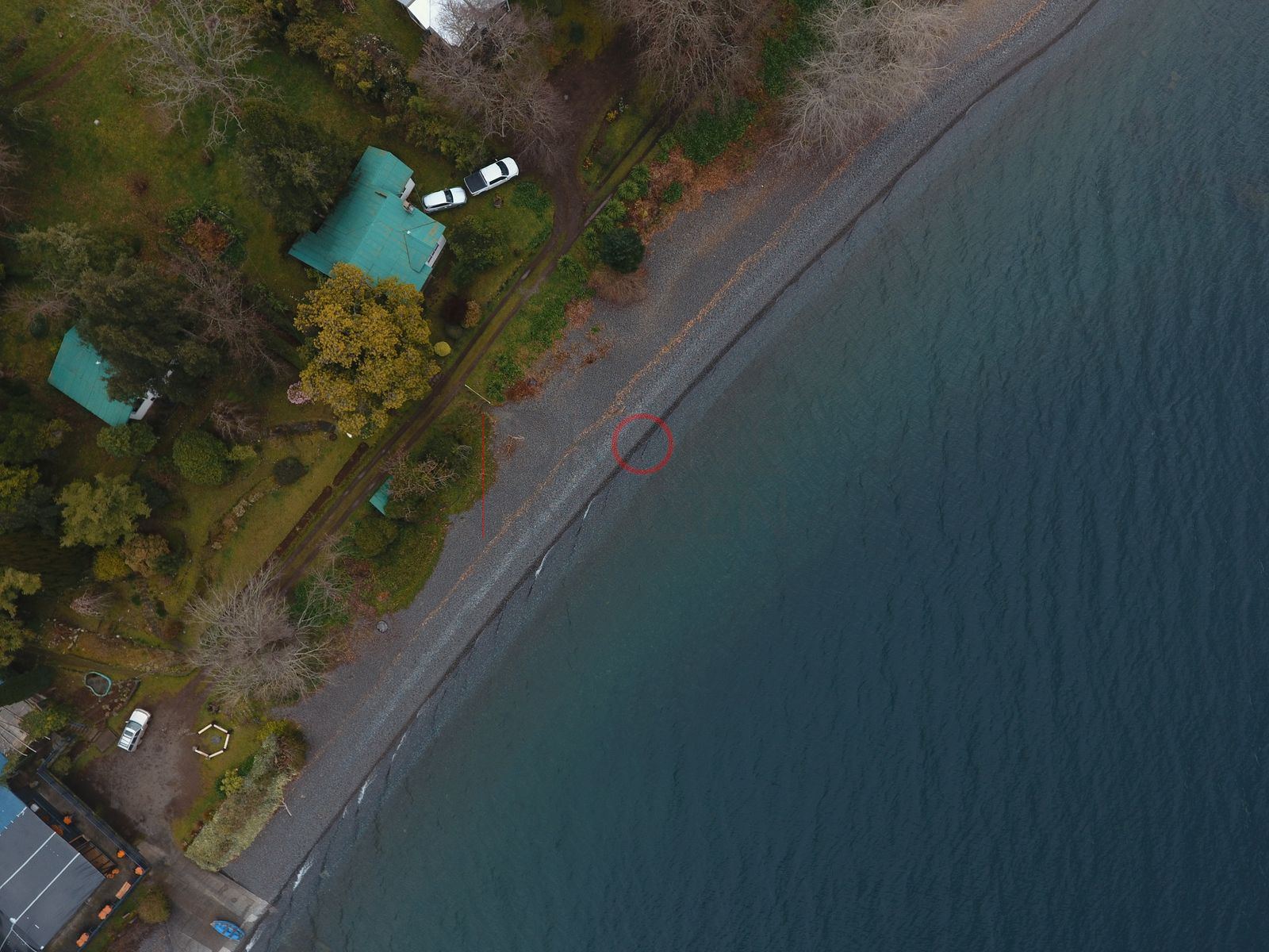 Costa del lago Ranco con casas y piscinas (2)