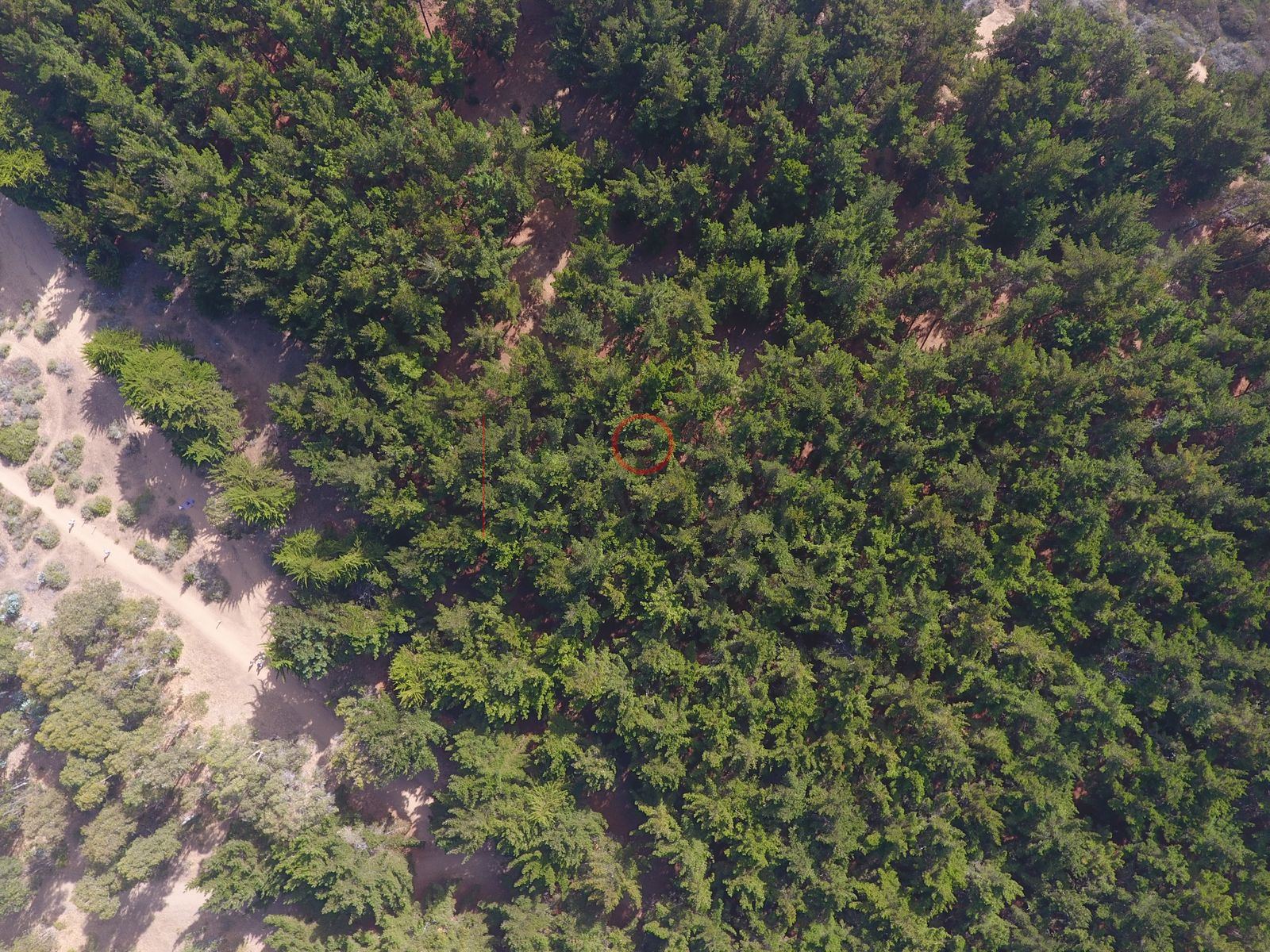 Foto aérea DJI_0009